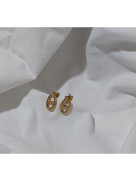 Boucles D'Oreilles CD (Doré)