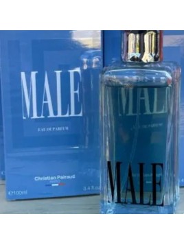 Male - Christian Pairaud 100ml