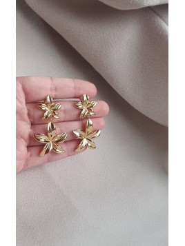 Boucles D'Oreilles Cindy...